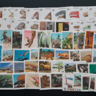Dinosaurus 76 kpl keräilykorttia (DinoCardz 1992) - pikkukuva 1