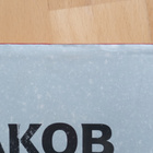 Satu Rämö : Jakob (Kirja) *Hildur* - pikkukuva 5