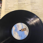 Joe Walsh: There Goes The Neighborhood 1981 LP - pikkukuva 3
