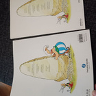 Asterix orjalaeva ja kaaleri - pikkukuva 2