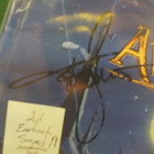 AVANTASIA - THE MYSTERY OF TIME 2CD EARBOOK NIMMARILLA - pikkukuva 2