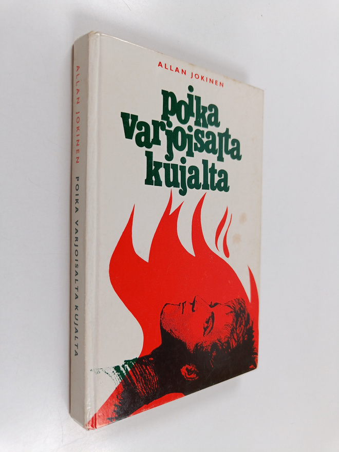 V. Lepänhaara : Poika varjoisalta kujalta