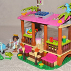 LEGO Friends - Andrean viidakko eläinsairaala - - pikkukuva 3