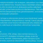 Seppo Mansukoski: Käytännön johtoryhmätyöskentely - pikkukuva 4