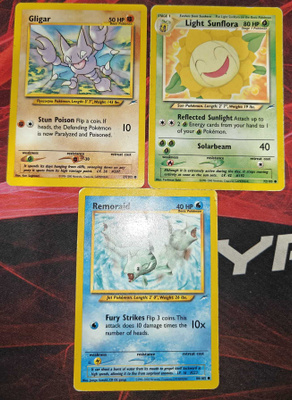 Pokémon Neo Destiny