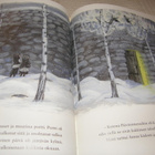 Lindgren - Törnqvist Päivärinne - pikkukuva 3