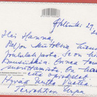 Elin Danielson-Gambogi Poutapäivä - pikkukuva 2
