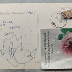 Leila Myllymäki - pikkukuva 2