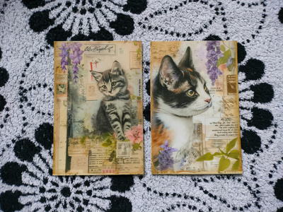 ~Kissa kortti~ 2kpl