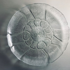 Fleur-lasilautanen - pikkukuva 3