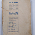 Edgar Rice Burroughs : Tarzan ja kultaleijona - pikkukuva 2