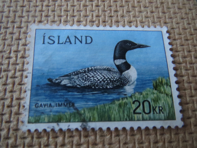 Islanti 1967: Great Northern Diver - sukeltajalintu