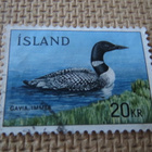 Islanti 1967: Great Northern Diver - sukeltajalintu - pikkukuva 1