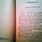 Conscience Hendrik: Flanderin leijona, v. 1919, 1.p. - pikkukuva 4