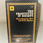 THE PROSTITUTE IN SOCIETY - pikkukuva 1