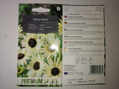 Auringonkukka "Italian White" - siemenet #