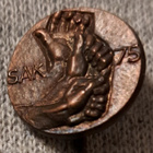 SAK 75 pinssi - pikkukuva 1