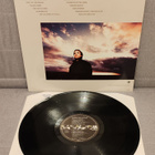 Chris de Burgh Spark To A Flame lp suomipainos - pikkukuva 2