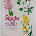 A. G. L. Hellyer : Shrubs in colour : an amateur gardenin... - pikkukuva 2