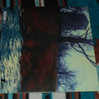 TIME TRAVELLER ~ Chapters I & II ~ LP - pikkukuva 2