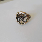 Kalevala Michael Monroe A Star All Heart sormus 17mm pronssi - pikkukuva 2