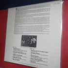 PETER GREEN - A CASE FROM THE BLUES/KATMANDU M-/M- LP - pikkukuva 2