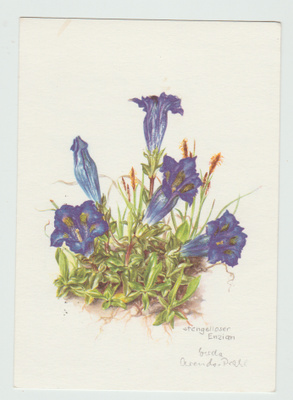 Gerda Arends Prahl : Katkero