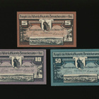 Saksa Notgeld 5, 10, 50 Pfennig, Benneckenstein 1919 - pikkukuva 1
