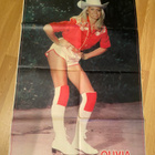 Cheryl Ladd julisteet + Olivia Newton-John juliste - pikkukuva 3