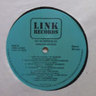 Various – Oi! Glorious Oi! - LP - pikkukuva 4