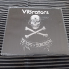 The VIBRATORS Troops of Tomorrow CDS - pikkukuva 1