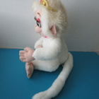 Mattel Barbie The Island Princess Tallulah äänet+valot - pikkukuva 2