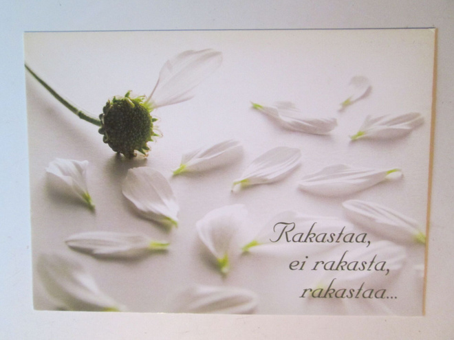 KULKEMATON RAKASTAA EI RAKASTA PÄIVÄNKAKKARA
