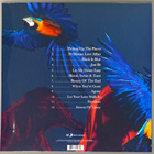 Paloma Faith: Fall To Grace - 2LP ( uusi ) - pikkukuva 2