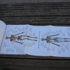 Keho. Anatomia ja fysiologia Vierimaa Heidi, Laurila Mirja - pikkukuva 3