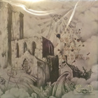 LIE IN RUINS - TOWARDS DIVINE DEATH - BROWN US 2014 M-/M 2LP - pikkukuva 2