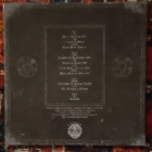 Sinoath – Forged In Blood & Still In The Grey Dying 2LP - pikkukuva 2