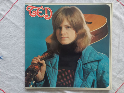 LP TED  -  POLS 241