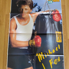 Ethan Hawke juliste + tarra + Michael J. Fox juliste - pikkukuva 3