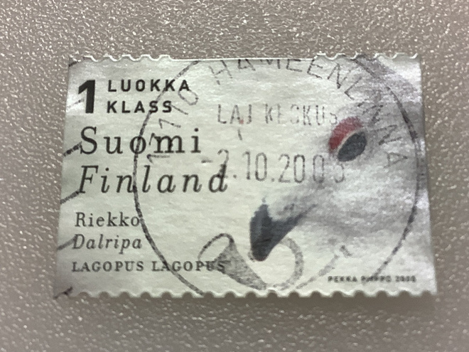 1537/ 2000 Riekko o leimattu loisto