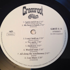 GRASSROOT / Folk - Bluesband vinyl. - pikkukuva 2