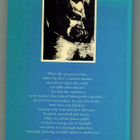Nietzsche: Dithyrambs of Dionysus (saksa-englanti) - pikkukuva 2