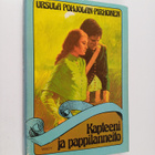 Ursula Pohjolan-Pirhonen : Kapteeni ja pappilanneito - pikkukuva 1