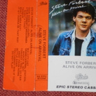 C-kasetti - STEVE FORBERT - Alive On ArrIval - 1980 rock EX - pikkukuva 2