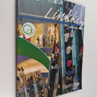 Linkki : lukion yhteiskuntaoppi 2 : Taloustieto - pikkukuva 1