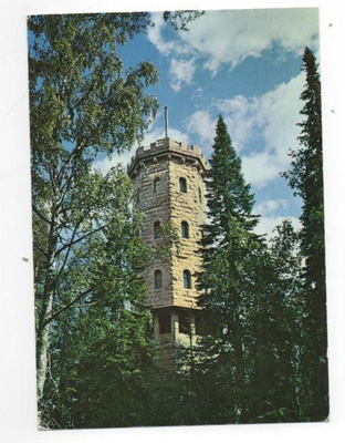 HÄMEENLINNA: Aulanko, torni kesällä