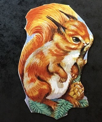 Orava Kiiltokuva