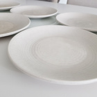 Dudson Evolution Lautaset / Ruokalautaset - yht. 6kpl - pikkukuva 1
