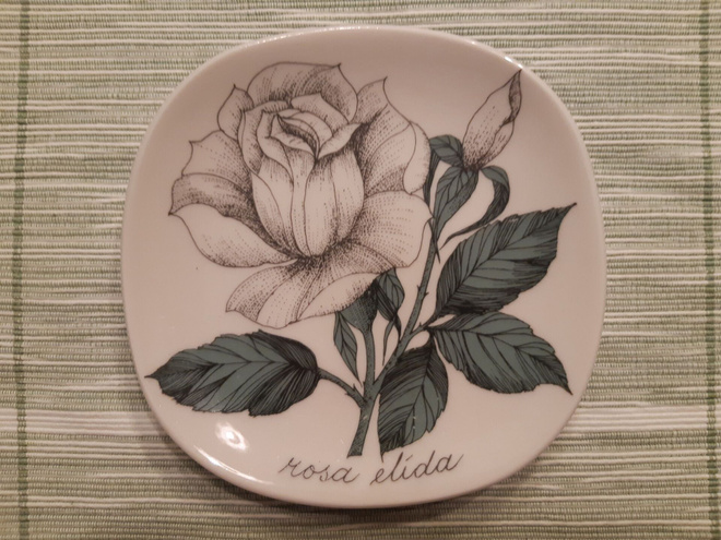 Arabia seinälautanen, Rosa elida, Esteri Tomula