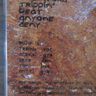 Rujo: Doctrine CDS - pikkukuva 2